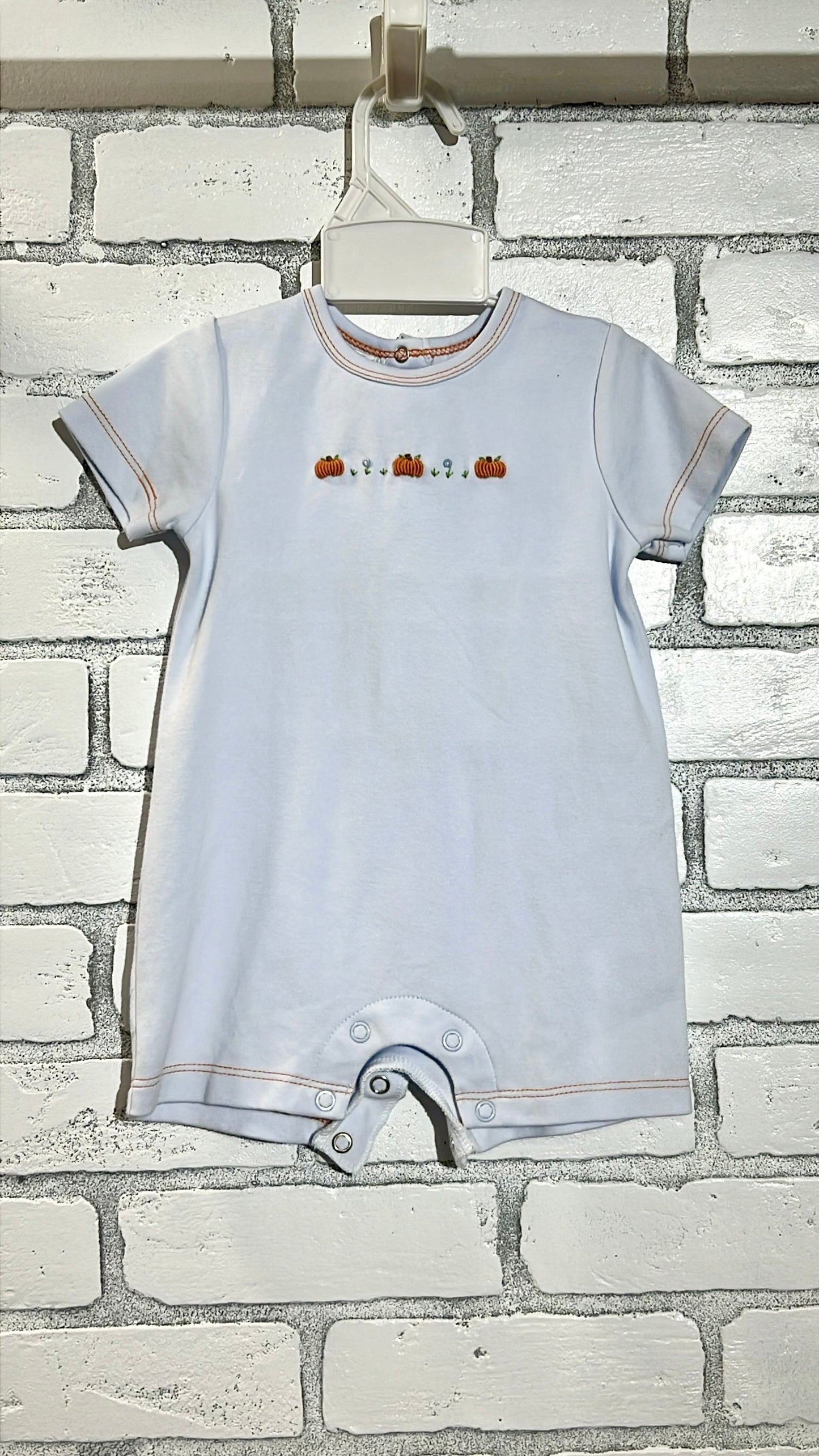 Petit Ami Pumpkin Trio