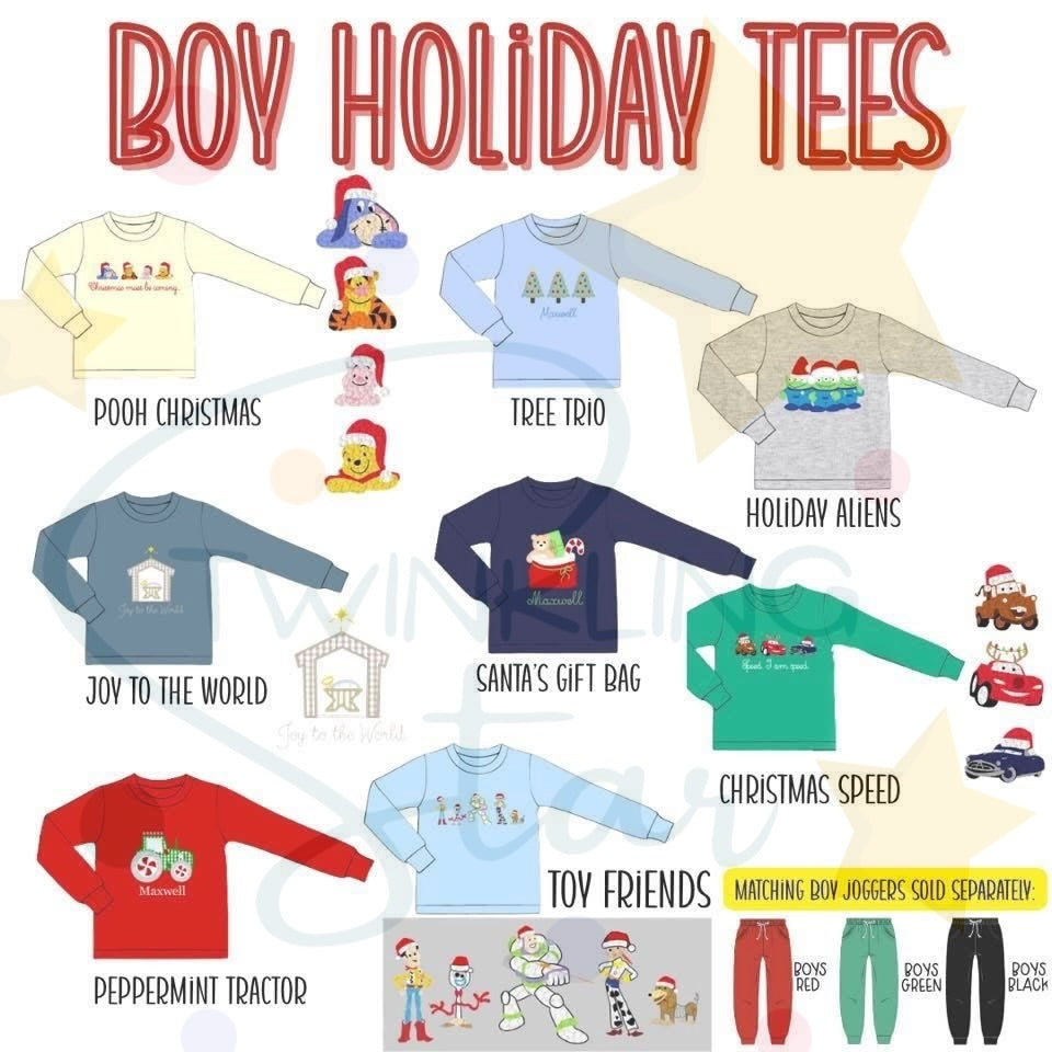Boys Holiday Tee SGS