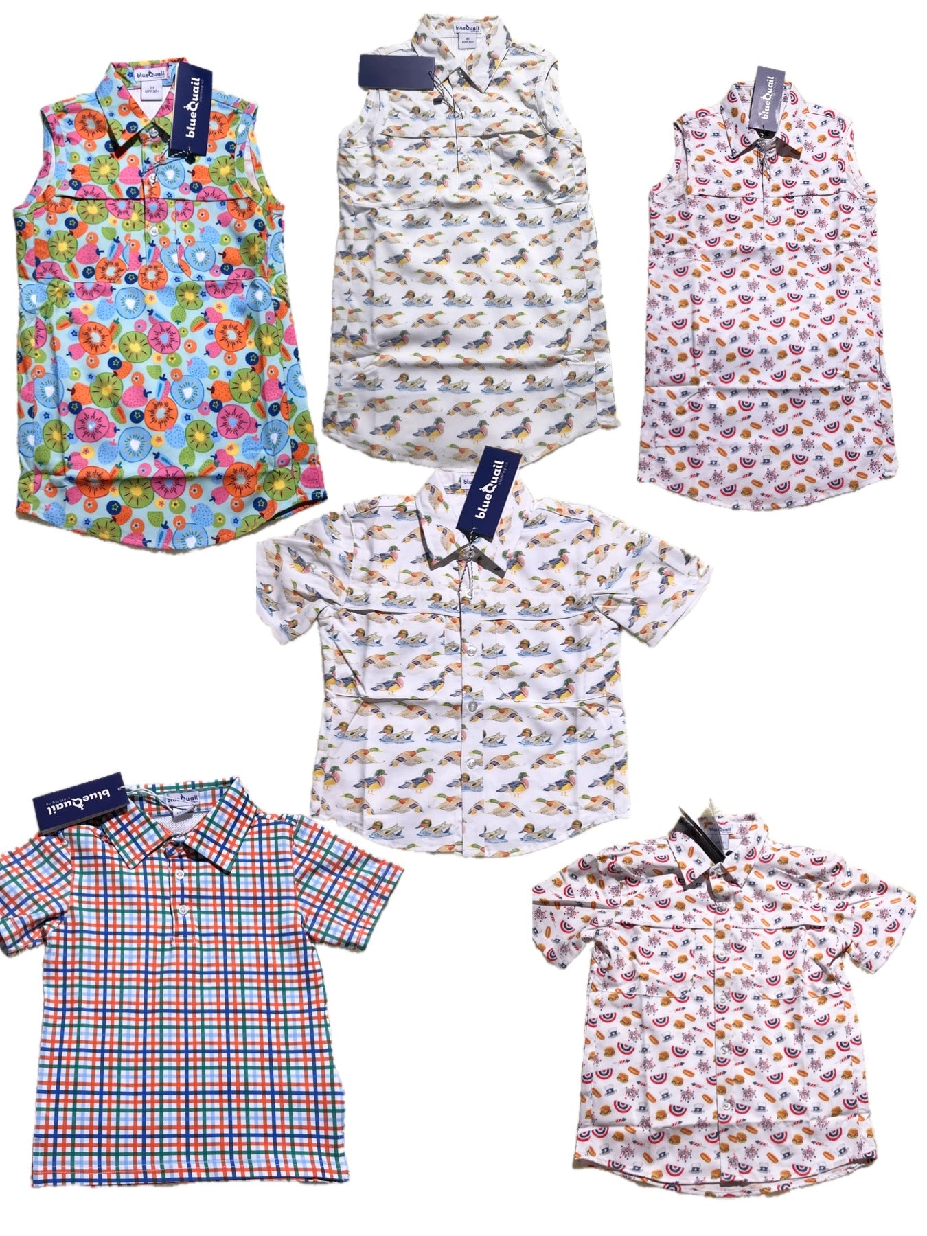 Blue Quail Shirt/Dress