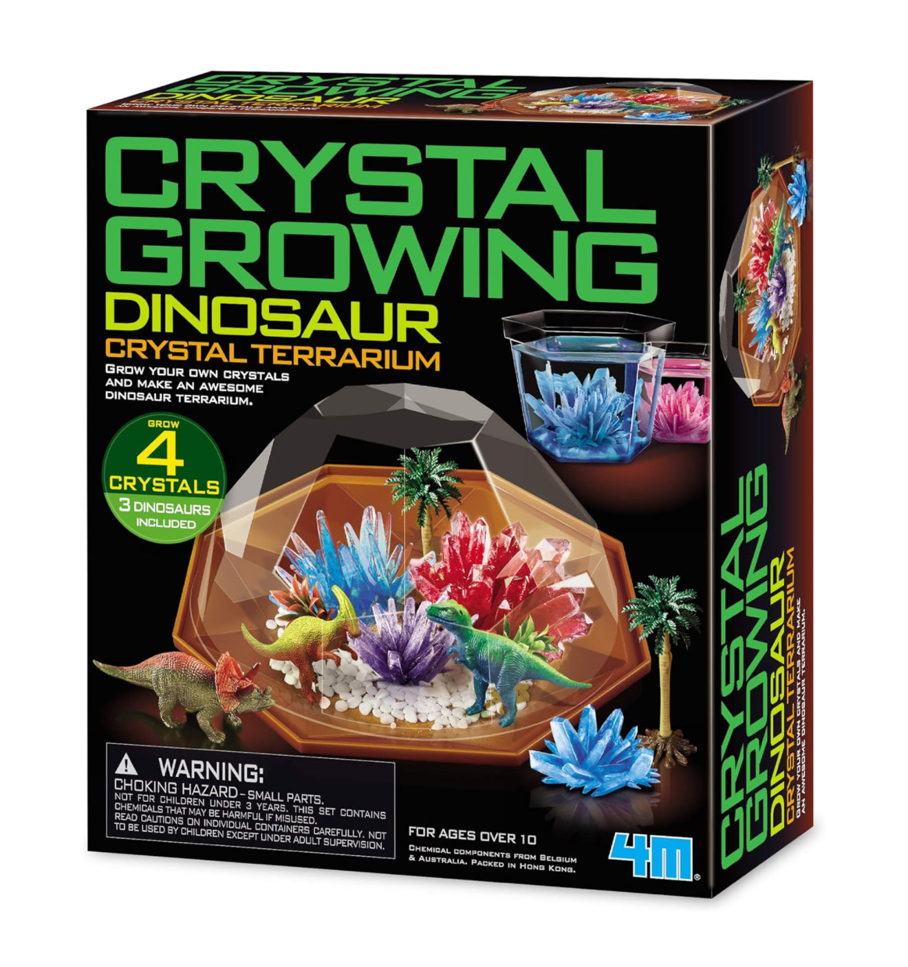 Dino Crystal Terrarium